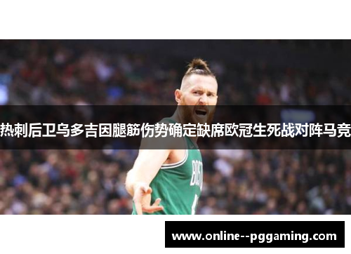 热刺后卫乌多吉因腿筋伤势确定缺席欧冠生死战对阵马竞